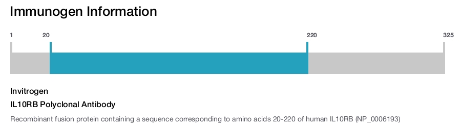 IL10RB Polyclonal Antibody