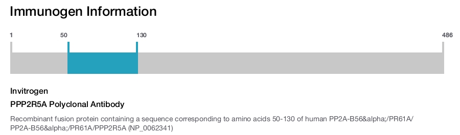 PPP2R5A Polyclonal Antibody