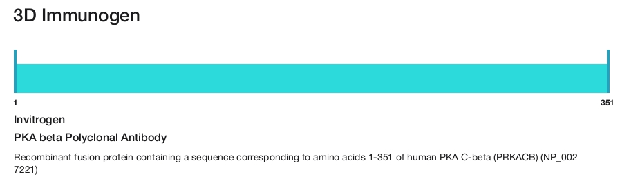 PKA beta Polyclonal Antibody
