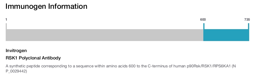 RSK1 Polyclonal Antibody