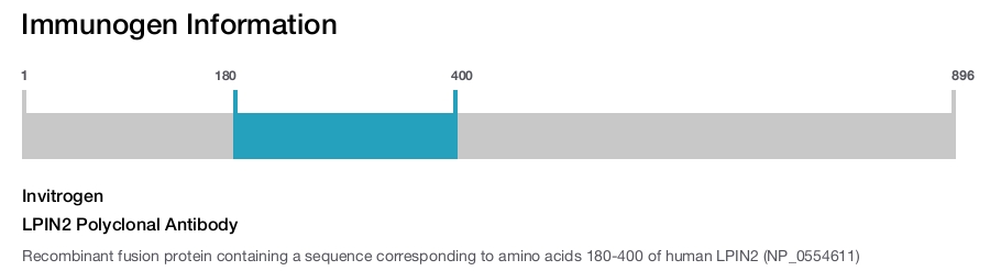 LPIN2 Polyclonal Antibody