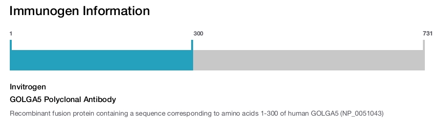 GOLGA5 Polyclonal Antibody