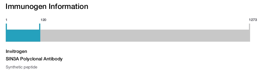 SIN3A Polyclonal Antibody