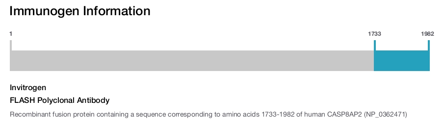 FLASH Polyclonal Antibody