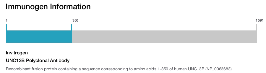 UNC13B Polyclonal Antibody