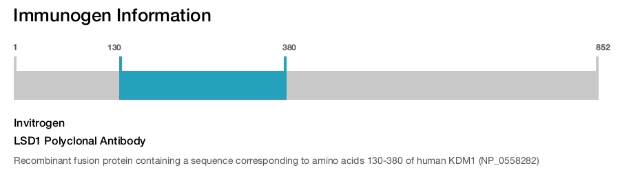 LSD1 Polyclonal Antibody
