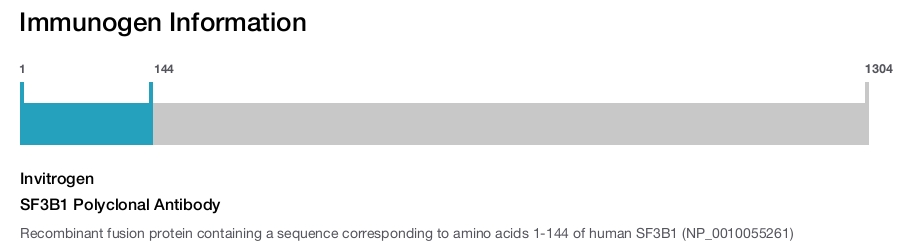 SF3B1 Polyclonal Antibody
