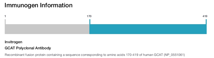 GCAT Polyclonal Antibody