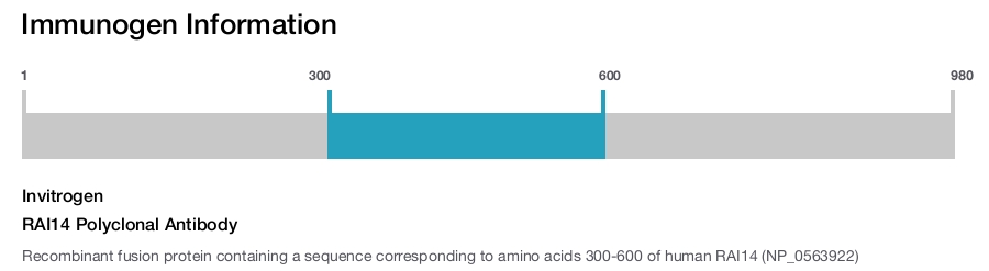 RAI14 Polyclonal Antibody