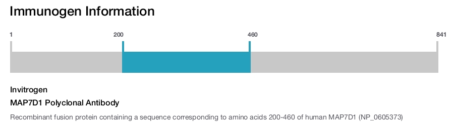 MAP7D1 Polyclonal Antibody