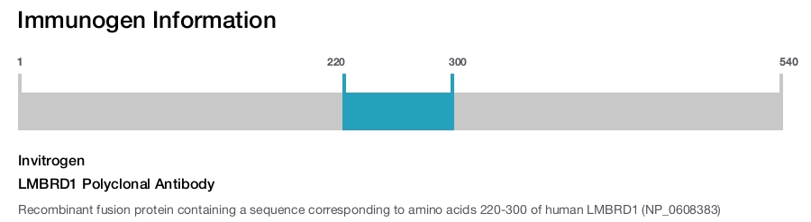 LMBRD1 Polyclonal Antibody