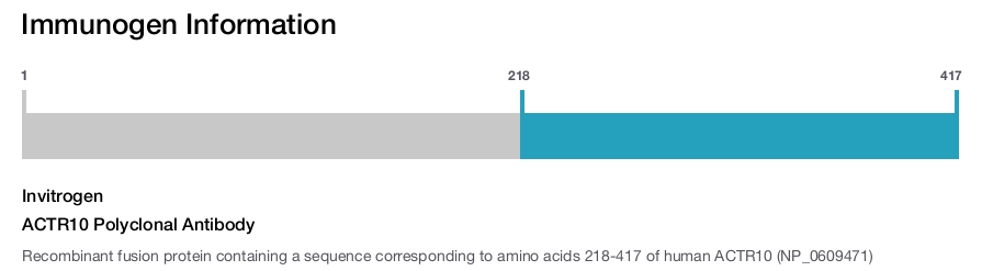 ACTR10 Polyclonal Antibody