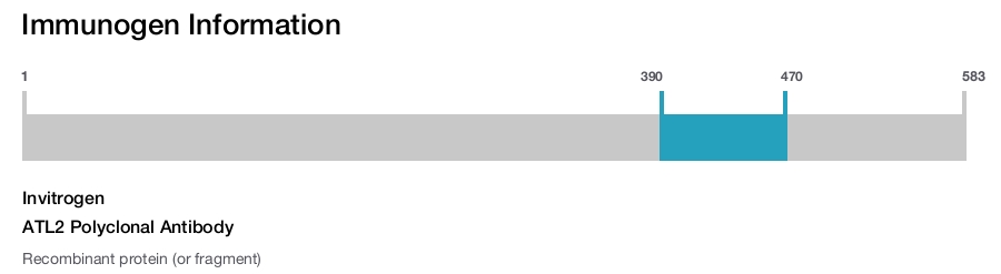 ATL2 Polyclonal Antibody
