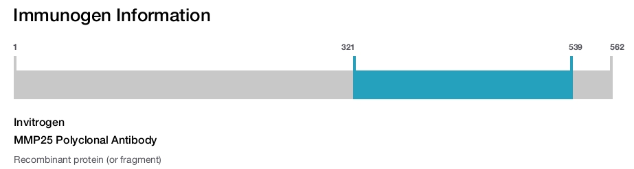 MMP25 Polyclonal Antibody