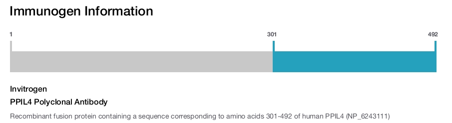 PPIL4 Polyclonal Antibody