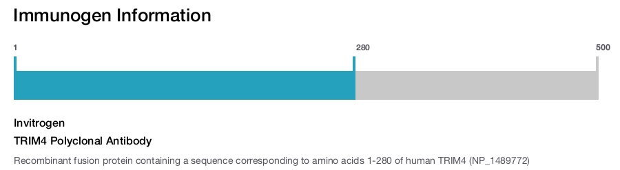 TRIM4 Polyclonal Antibody