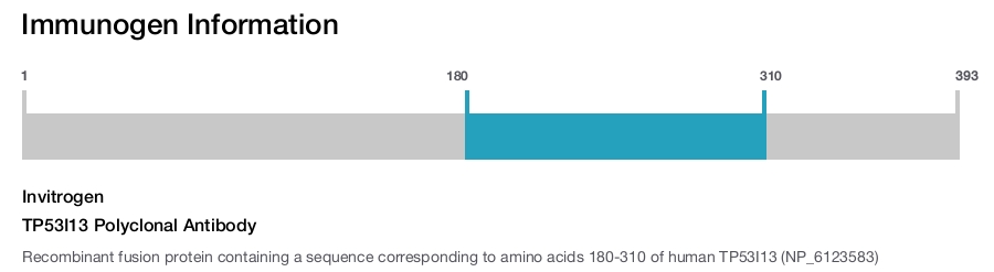 TP53I13 Polyclonal Antibody