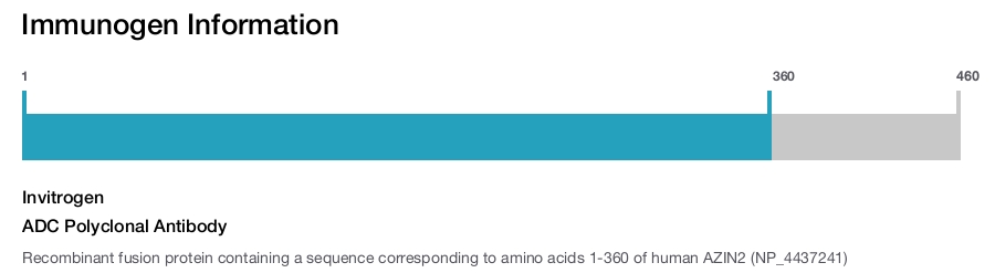 ADC Polyclonal Antibody