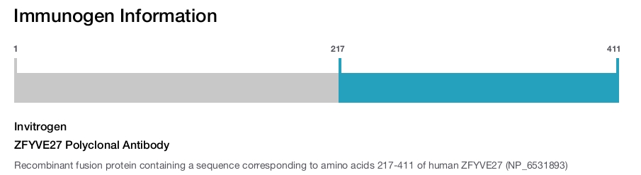 ZFYVE27 Polyclonal Antibody