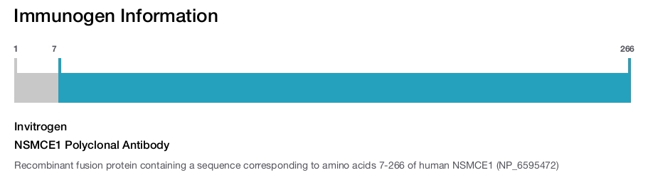NSMCE1 Polyclonal Antibody