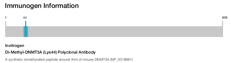 Di-Methyl-DNMT3A (Lys44) Polyclonal Antibody