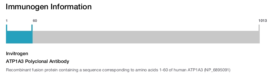ATP1A3 Polyclonal Antibody
