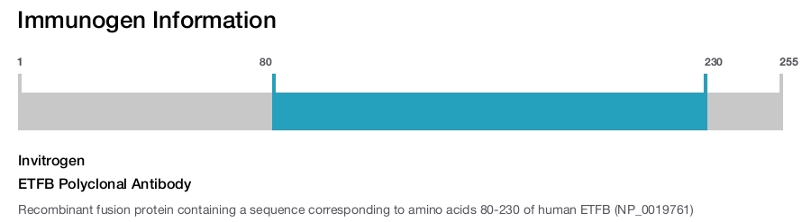 ETFB Polyclonal Antibody