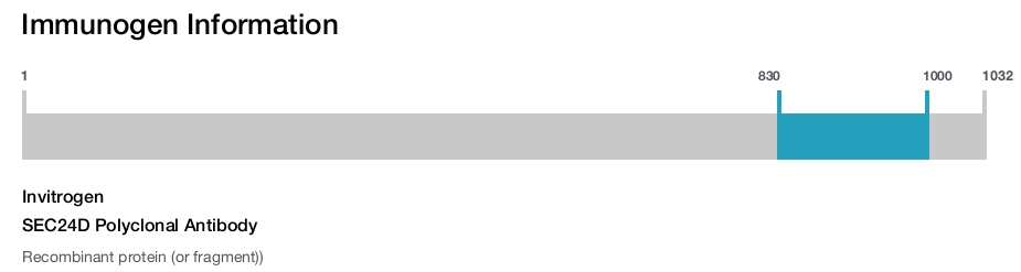 SEC24D Polyclonal Antibody