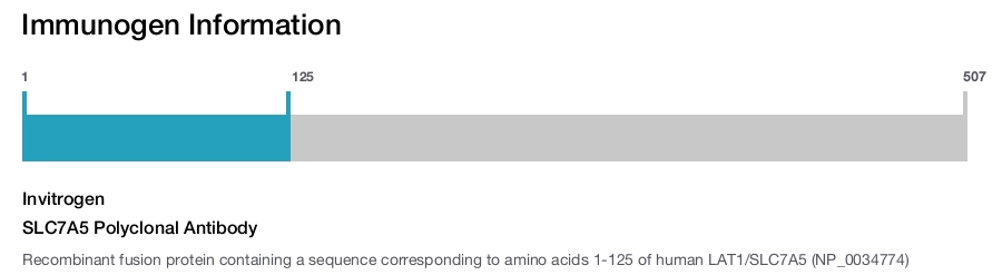 SLC7A5 Polyclonal Antibody