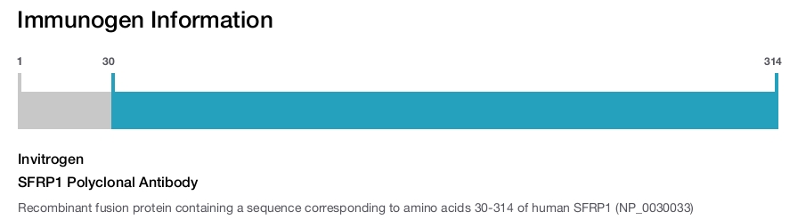 SFRP1 Polyclonal Antibody