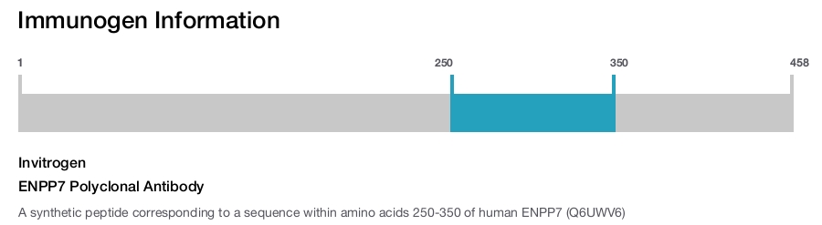 ENPP7 Polyclonal Antibody