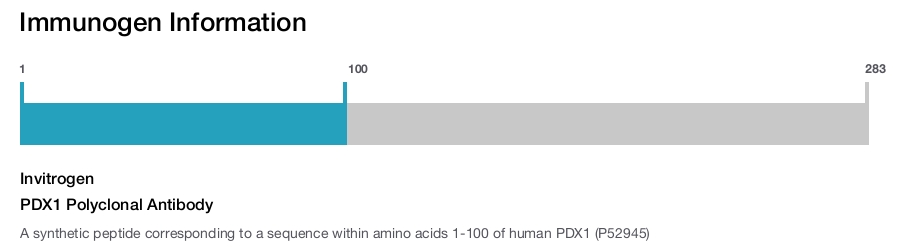 PDX1 Polyclonal Antibody