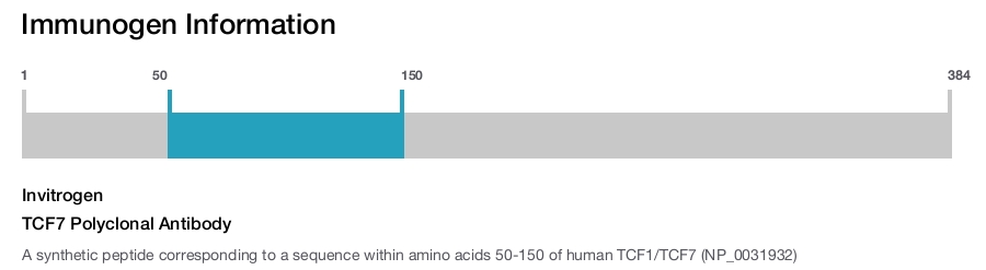 TCF7 Polyclonal Antibody