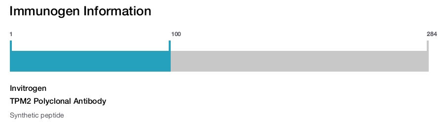 TPM2 Polyclonal Antibody