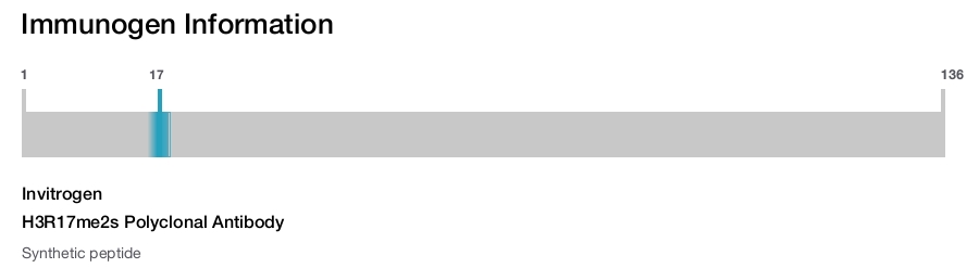 H3R17me2s Polyclonal Antibody