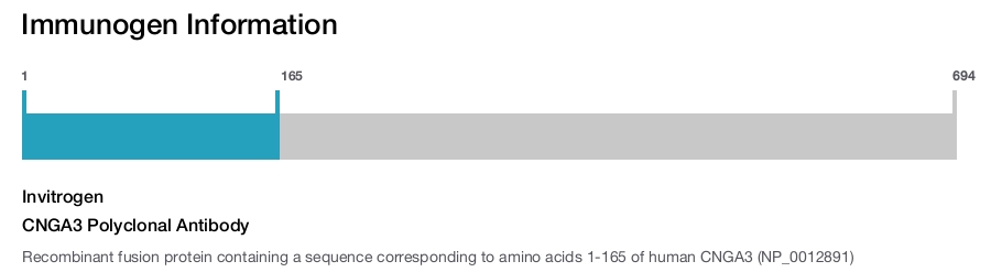 CNGA3 Polyclonal Antibody