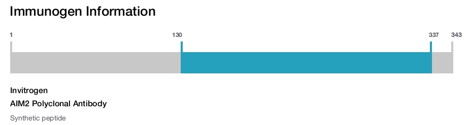 AIM2 Polyclonal Antibody