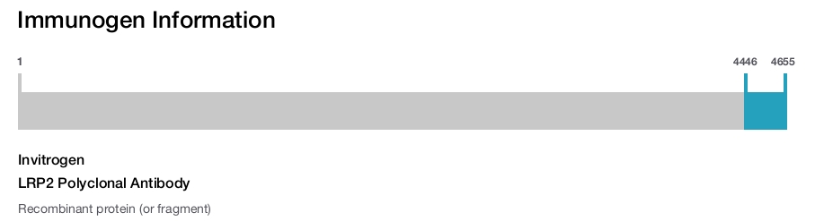 LRP2 Polyclonal Antibody