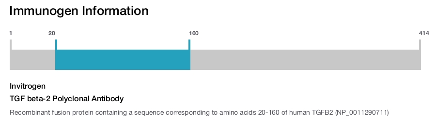 TGF beta-2 Polyclonal Antibody