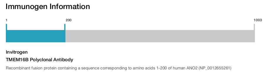 TMEM16B Polyclonal Antibody