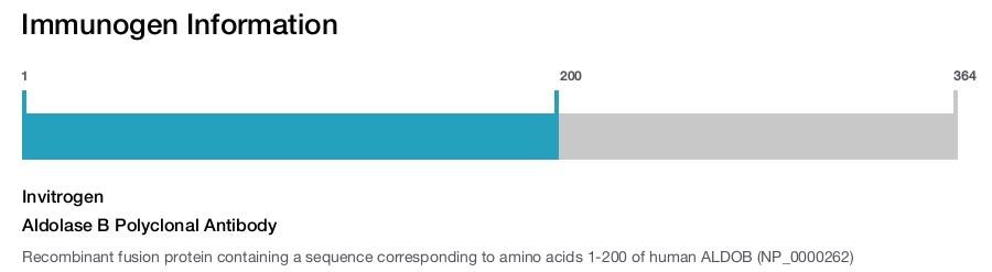 Aldolase B Polyclonal Antibody