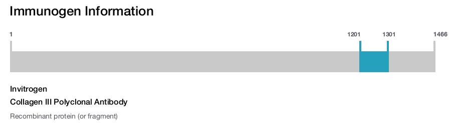 Collagen III Polyclonal Antibody