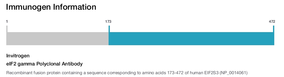 eIF2 gamma Polyclonal Antibody