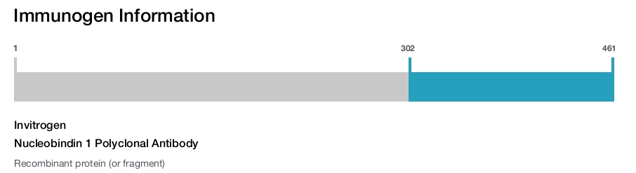 Nucleobindin 1 Polyclonal Antibody