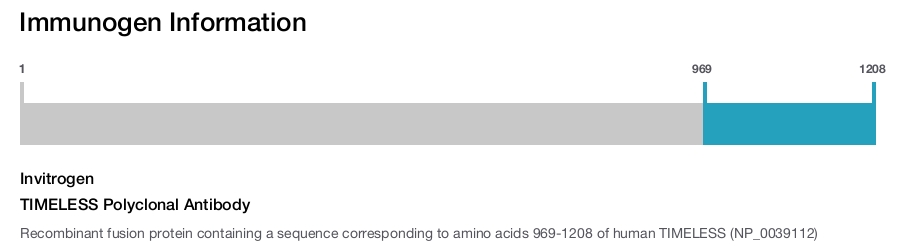 TIMELESS Polyclonal Antibody