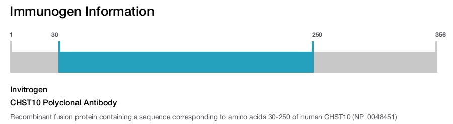 CHST10 Polyclonal Antibody