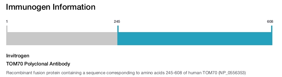 TOM70 Polyclonal Antibody
