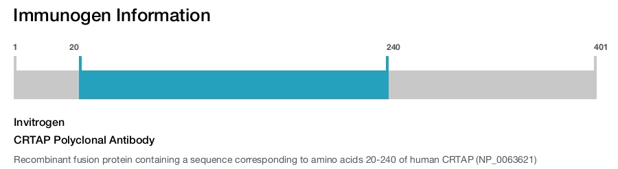 CRTAP Polyclonal Antibody