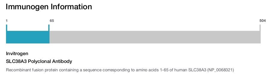 SLC38A3 Polyclonal Antibody