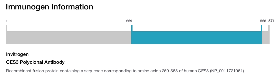 CES3 Polyclonal Antibody